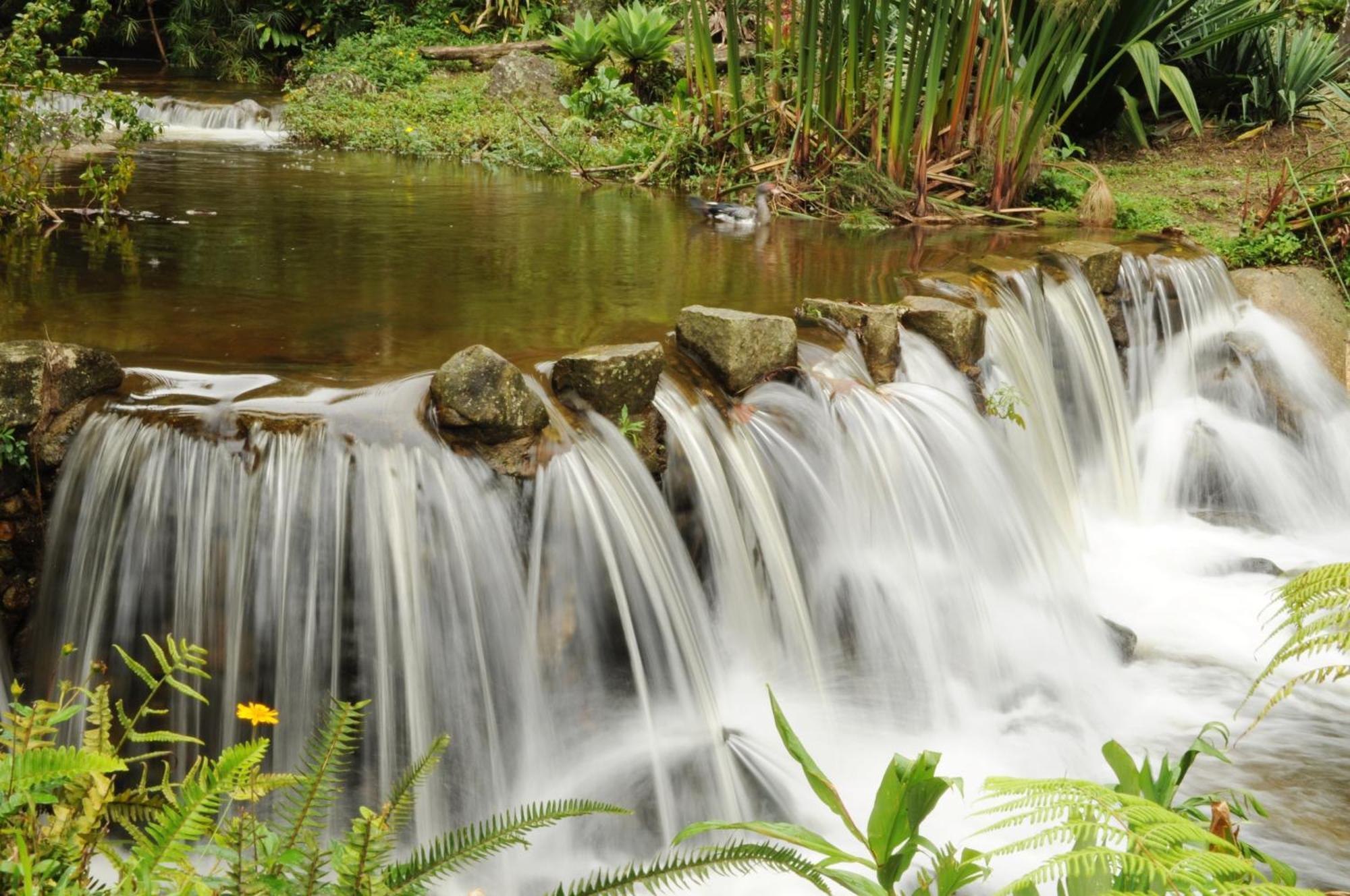 Pousada Sitio E Poesia Teresopolis Luaran gambar